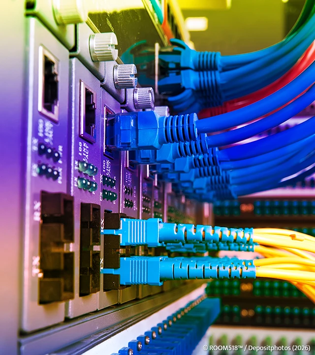 Pourquoi choisir un serveur dédié pour votre site internet WordPress à Haguenau en Alsace ?