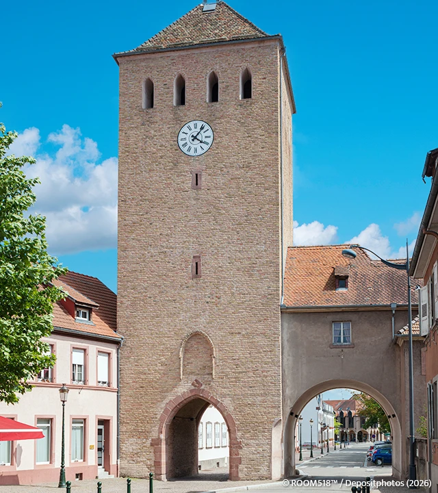 Quelle offre d’hébergement WordPress choisir à Haguenau ?